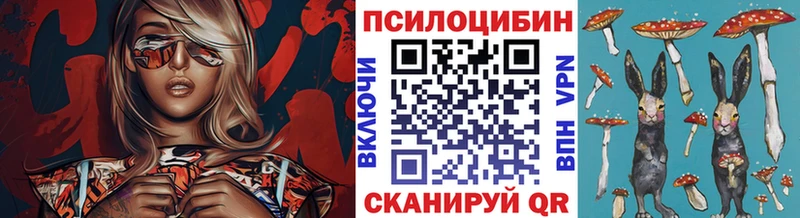 KRAKEN ссылки Абакан Галлюциногенные грибы мицелий